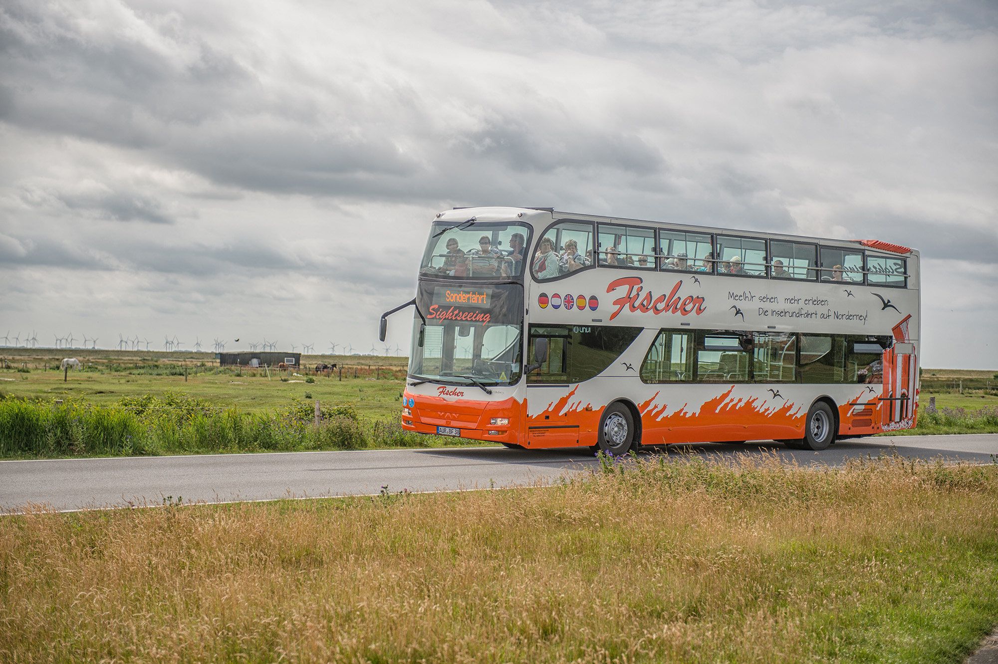 insel travel bus